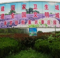 參與生活垃圾分類 創(chuàng)建文明襄陽(yáng)