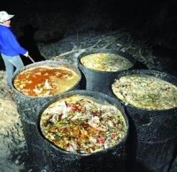 生活垃圾分類知識“地溝油”最后都去了哪里呢？