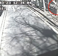 煙頭扔進(jìn)垃圾桶導(dǎo)致起火，公交車司機(jī)見義勇為獲點(diǎn)贊